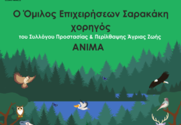 O Όμιλος Επιχειρήσεων Σαρακάκη ως Χορηγός της ΑΝΙΜΑ στηρίζει έμπρακτα τα άγρια ζώα που επλήγησαν από τις πυρκαγιές